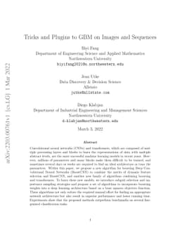 Tricks and Plugins to GBM on Images and Sequences