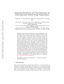 Exploring Smoothness and Class-Separation for Semi-supervised Medical
  Image Segmentation