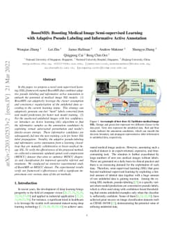 BoostMIS: Boosting Medical Image Semi-supervised Learning with Adaptive
  Pseudo Labeling and Informative Active Annotation