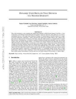 Dynamic ConvNets on Tiny Devices via Nested Sparsity