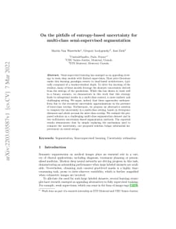 On the pitfalls of entropy-based uncertainty for multi-class
  semi-supervised segmentation