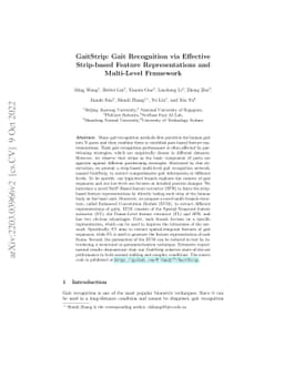 GaitStrip: Gait Recognition via Effective Strip-based Feature
  Representations and Multi-Level Framework