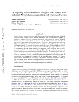 Comparing representations of biological data learned with different AI
  paradigms, augmenting and cropping strategies