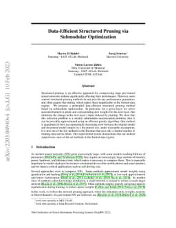 Data-Efficient Structured Pruning via Submodular Optimization