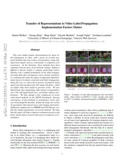 Transfer of Representations to Video Label Propagation: Implementation
  Factors Matter