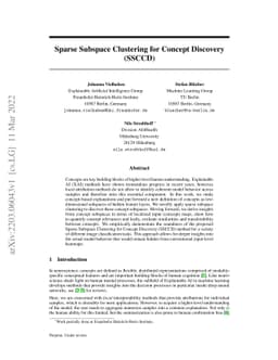 Sparse Subspace Clustering for Concept Discovery (SSCCD)