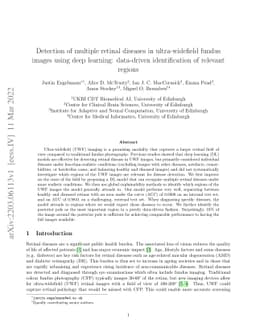 Detection of multiple retinal diseases in ultra-widefield fundus images
  using deep learning: data-driven identification of relevant regions