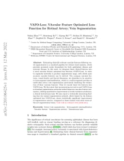 VAFO-Loss: VAscular Feature Optimised Loss Function for Retinal
  Artery/Vein Segmentation
