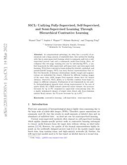 S5CL: Unifying Fully-Supervised, Self-Supervised, and Semi-Supervised
  Learning Through Hierarchical Contrastive Learning