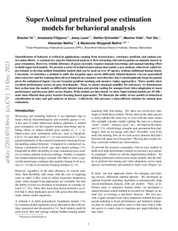 SuperAnimal pretrained pose estimation models for behavioral analysis