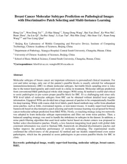 Breast Cancer Molecular Subtypes Prediction on Pathological Images with
  Discriminative Patch Selecting and Multi-Instance Learning