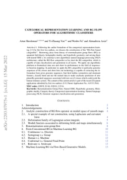 Categorical Representation Learning and RG flow operators for
  algorithmic classifiers
