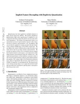 Implicit Feature Decoupling with Depthwise Quantization