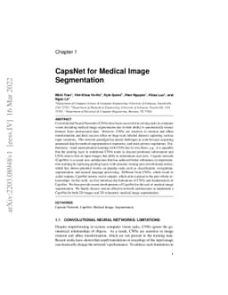 CapsNet for Medical Image Segmentation