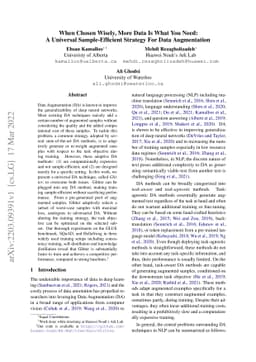When Chosen Wisely, More Data Is What You Need: A Universal
  Sample-Efficient Strategy For Data Augmentation