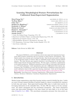 Learning Morphological Feature Perturbations for Calibrated
  Semi-Supervised Segmentation