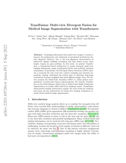 TransFusion: Multi-view Divergent Fusion for Medical Image Segmentation
  with Transformers