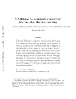 GAM(L)A: An econometric model for interpretable Machine Learning