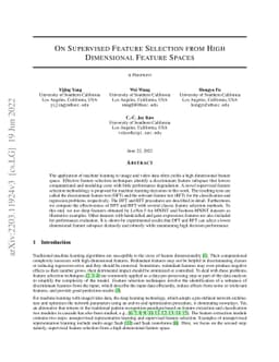 On Supervised Feature Selection from High Dimensional Feature Spaces