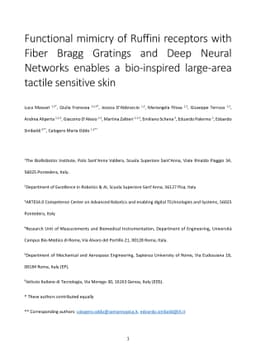Functional mimicry of Ruffini receptors with Fiber Bragg Gratings and
  Deep Neural Networks enables a bio-inspired large-area tactile sensitive skin