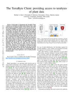 The TerraByte Client: providing access to terabytes of plant data