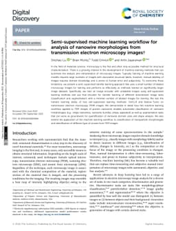 Semi-supervised machine learning model for analysis of nanowire
  morphologies from transmission electron microscopy images