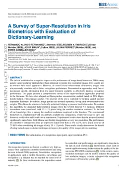 A Survey of Super-Resolution in Iris Biometrics with Evaluation of
  Dictionary-Learning