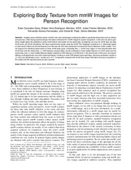 Exploring Body Texture from mmW Images for Person Recognition