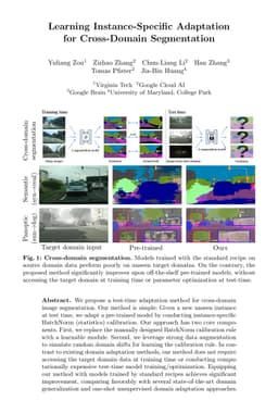 Learning Instance-Specific Adaptation for Cross-Domain Segmentation