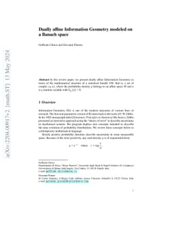 Dually affine Information Geometry modeled on a Banach space