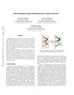 REM: Routing Entropy Minimization for Capsule Networks