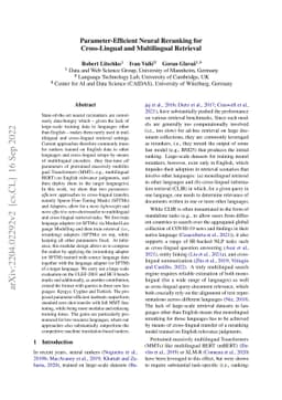 Parameter-Efficient Neural Reranking for Cross-Lingual and Multilingual
  Retrieval