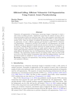 EfficientCellSeg: Efficient Volumetric Cell Segmentation Using Context
  Aware Pseudocoloring