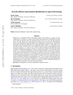 Towards efficient representation identification in supervised learning
