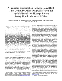 A Semantic Segmentation Network Based Real-Time Computer-Aided Diagnosis
  System for Hydatidiform Mole Hydrops Lesion Recognition in Microscopic View