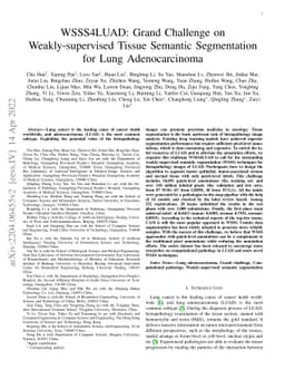 WSSS4LUAD: Grand Challenge on Weakly-supervised Tissue Semantic
  Segmentation for Lung Adenocarcinoma