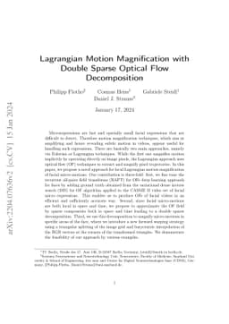 Lagrangian Motion Magnification with Double Sparse Optical Flow
  Decomposition