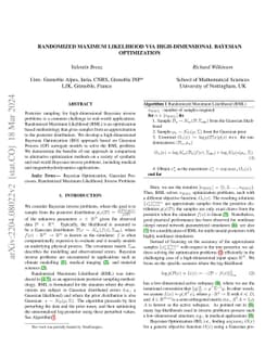 Randomized Maximum Likelihood via High-Dimensional Bayesian Optimization