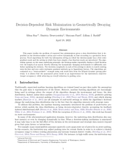 Decision-Dependent Risk Minimization in Geometrically Decaying Dynamic
  Environments