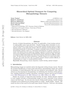 Hierarchical Optimal Transport for Comparing Histopathology Datasets