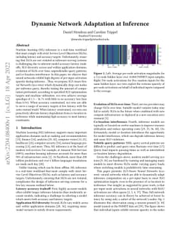 Dynamic Network Adaptation at Inference
