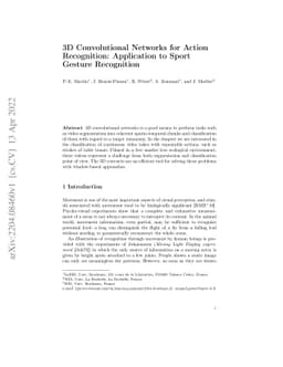 3D Convolutional Networks for Action Recognition: Application to Sport
  Gesture Recognition