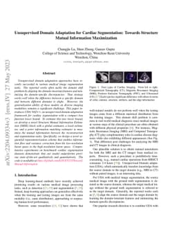 Unsupervised Domain Adaptation for Cardiac Segmentation: Towards
  Structure Mutual Information Maximization