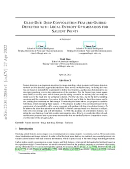 Gleo-Det: Deep Convolution Feature-Guided Detector with Local Entropy
  Optimization for Salient Points