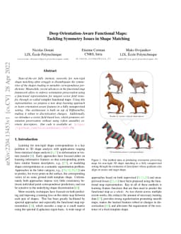 Deep Orientation-Aware Functional Maps: Tackling Symmetry Issues in
  Shape Matching