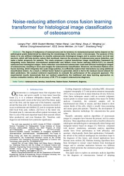 Noise-reducing attention cross fusion learning transformer for
  histological image classification of osteosarcoma