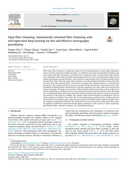 Deep fiber clustering: Anatomically informed fiber clustering with
  self-supervised deep learning for fast and effective tractography
  parcellation