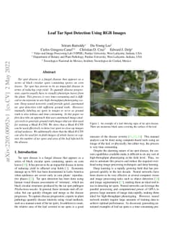Leaf Tar Spot Detection Using RGB Images