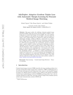 AdaTriplet: Adaptive Gradient Triplet Loss with Automatic Margin
  Learning for Forensic Medical Image Matching