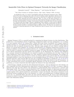 Immiscible Color Flows in Optimal Transport Networks for Image
  Classification